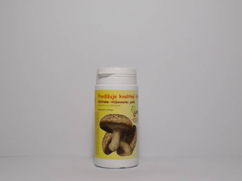 Húževnatec jedlý - Šiitake (lentinula edodes)